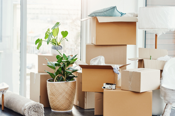 Photo of Moving in.png