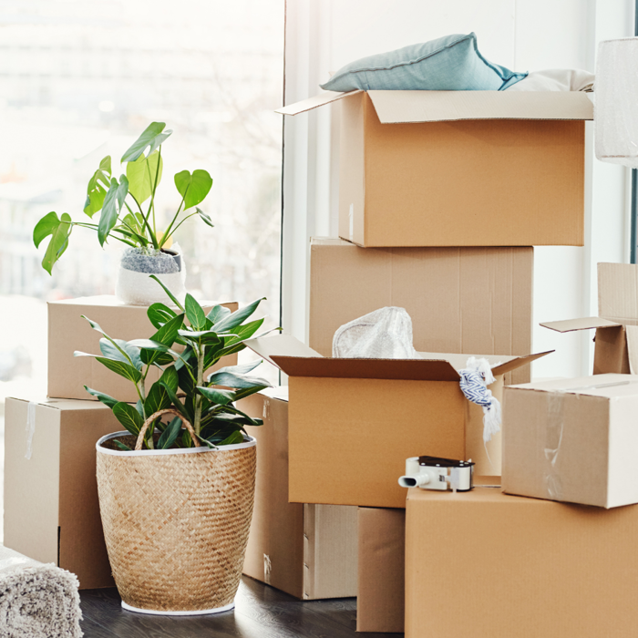 Photo of Moving in.png