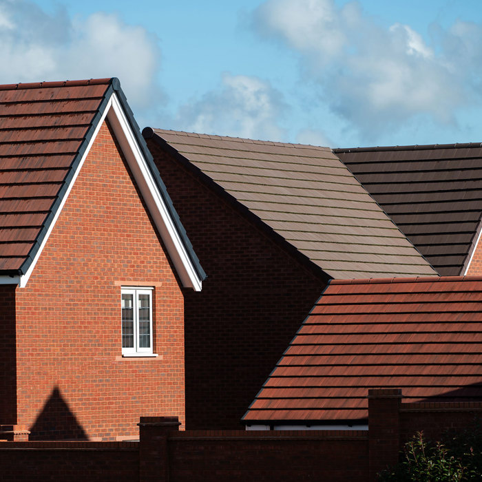 Photo of Sparrow-housing-rooftops