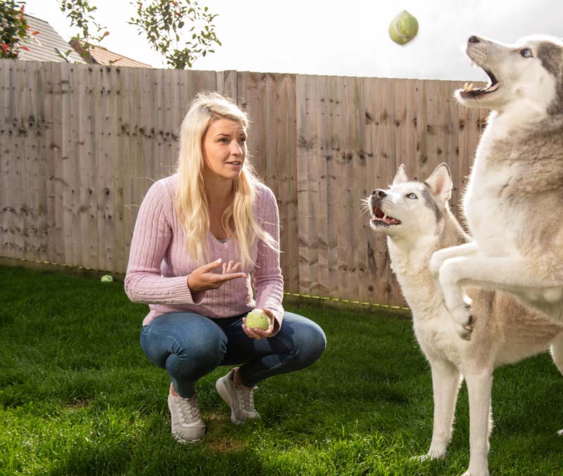 A Sparrow customer with a playing playing two dogs