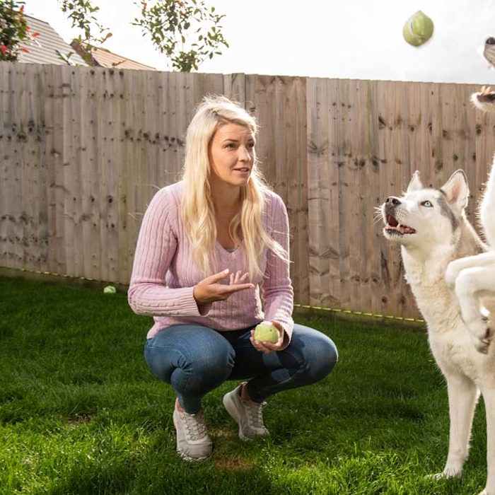 Photo of Sparrow-customer-playing-with-dogs-in-garden_edited