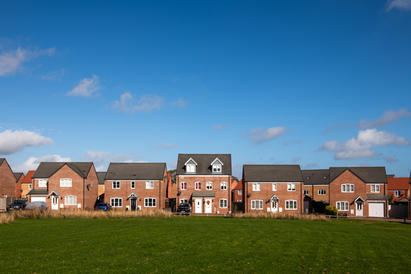 Row of Sparrow homes